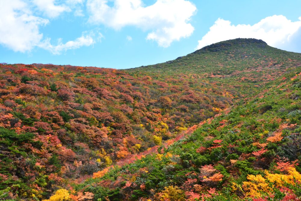 安達太良山の紅葉