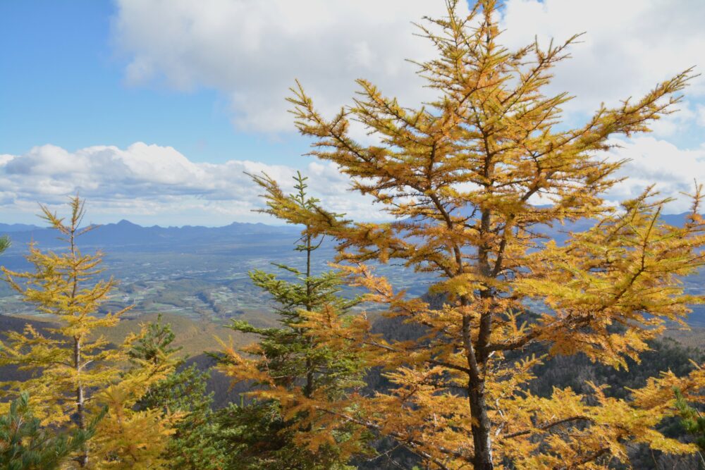 四阿山の紅葉（黄葉）