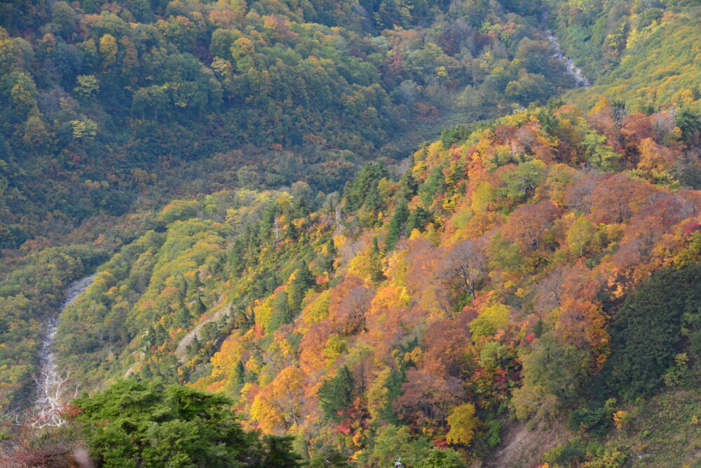 雨飾山の紅葉