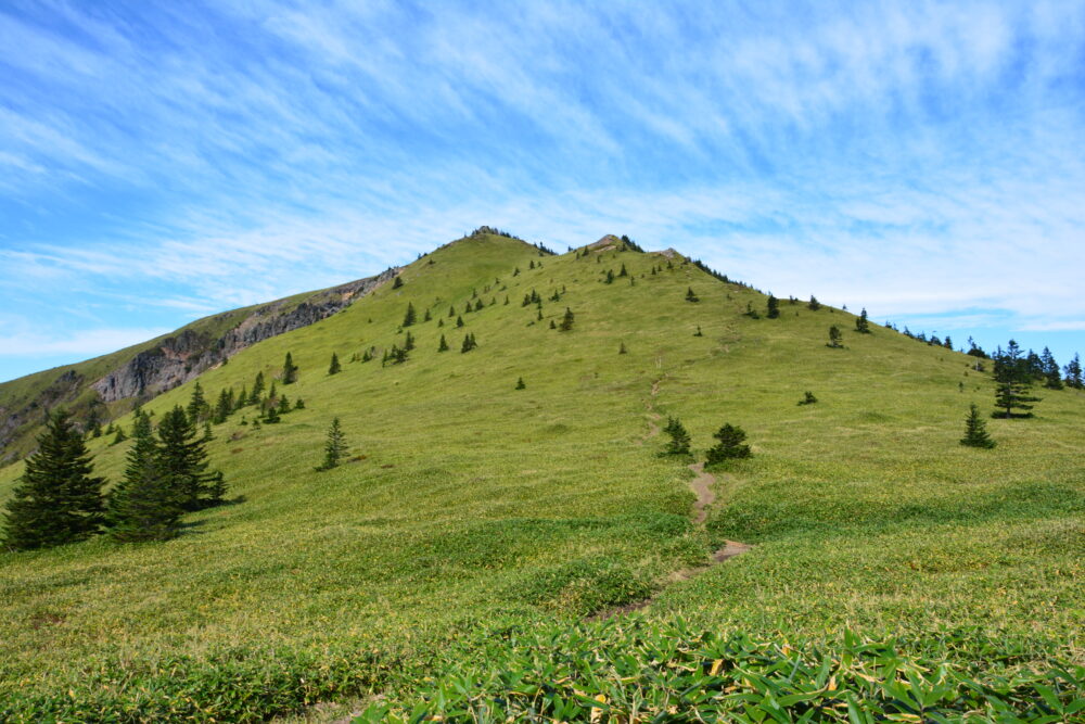 根子岳山頂と笹原