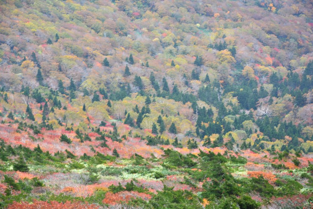 安達太良山山頂から見た紅葉