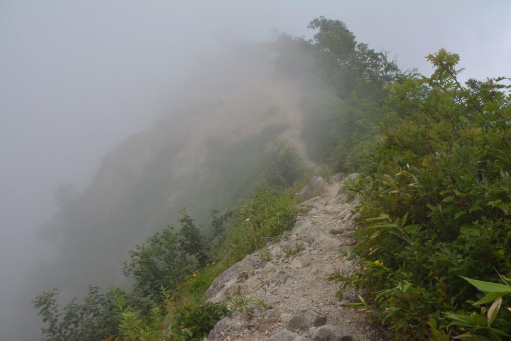 遠見尾根の登山道