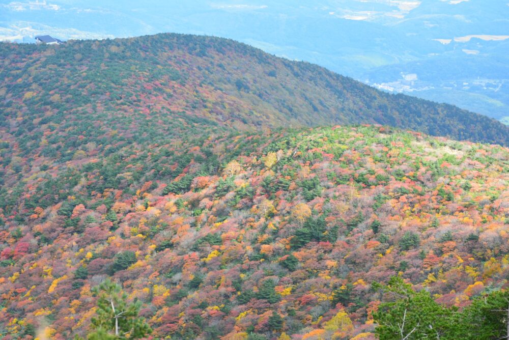 安達太良山の紅葉