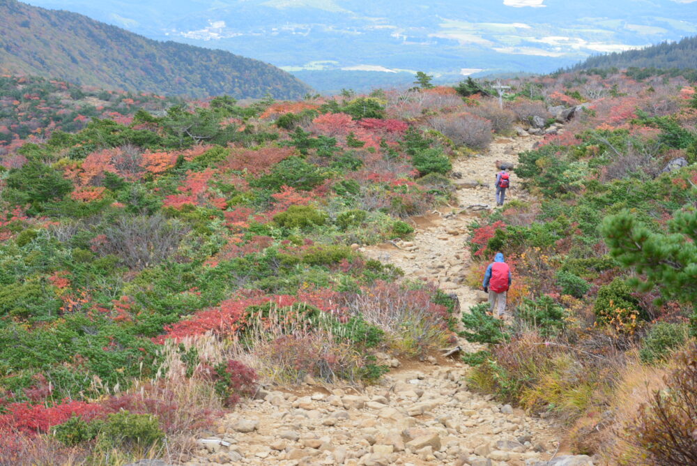 安達太良山の登山道と紅葉