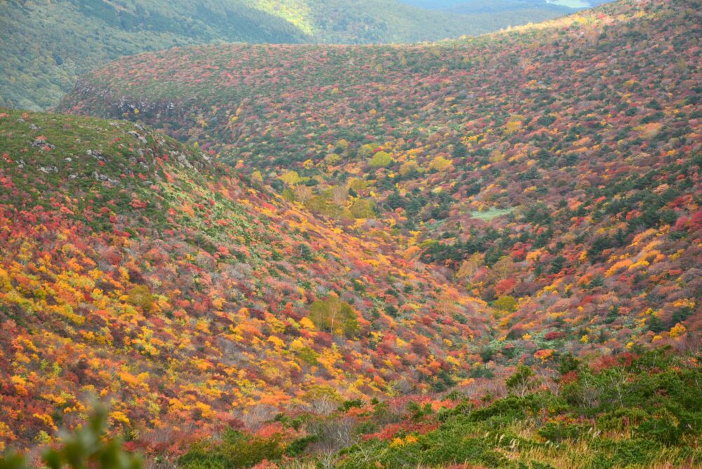 安達太良山の紅葉