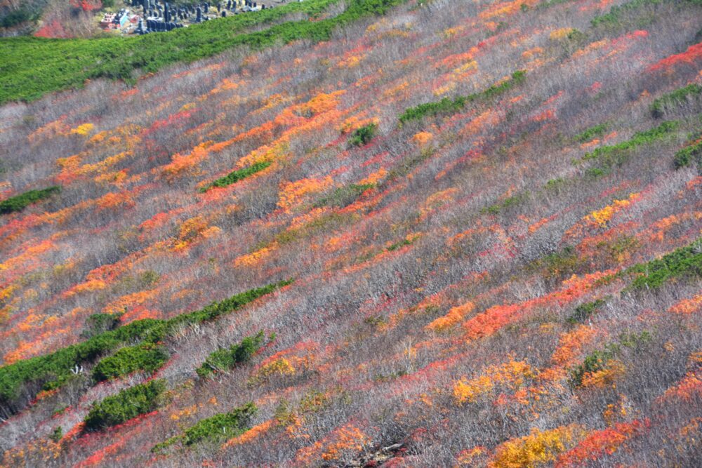 御嶽山の紅葉