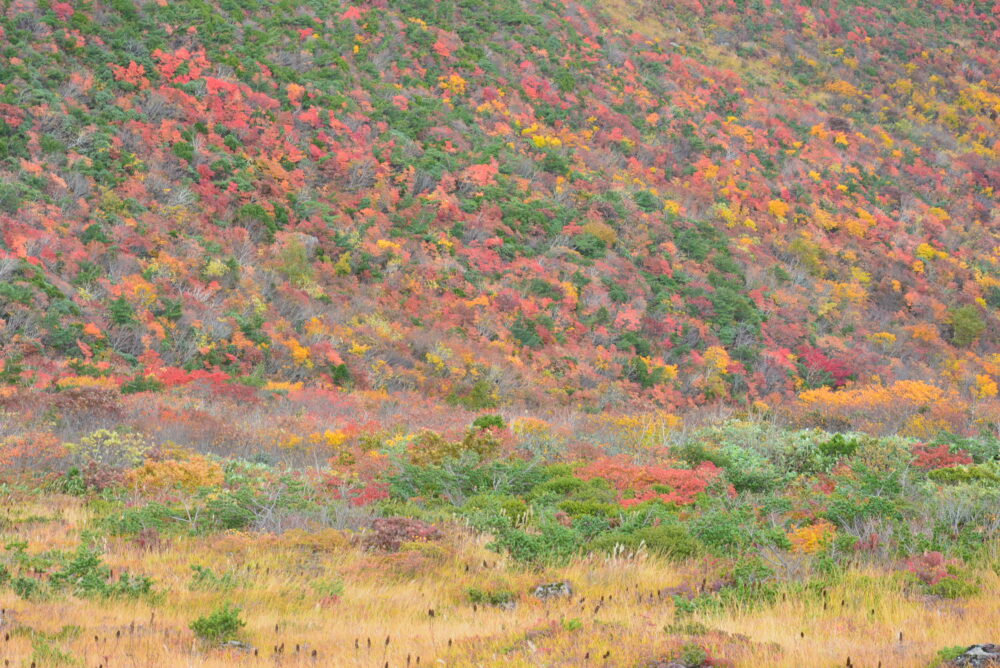 安達太良山の紅葉