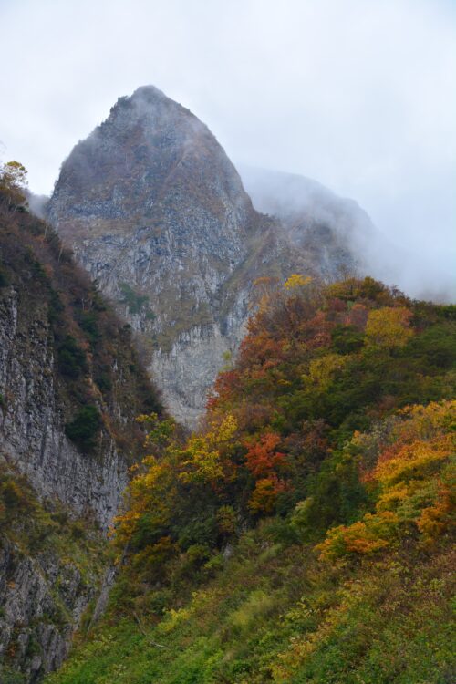 雨飾山の荒菅沢から見た布団菱