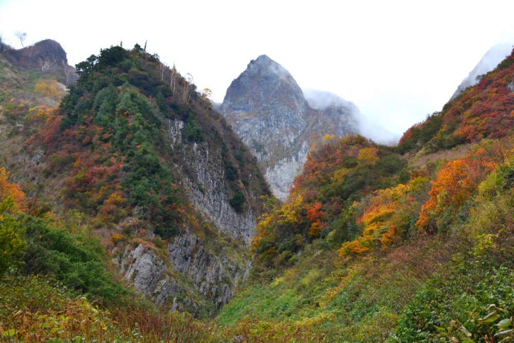 雨飾山の荒菅沢から見た布団菱