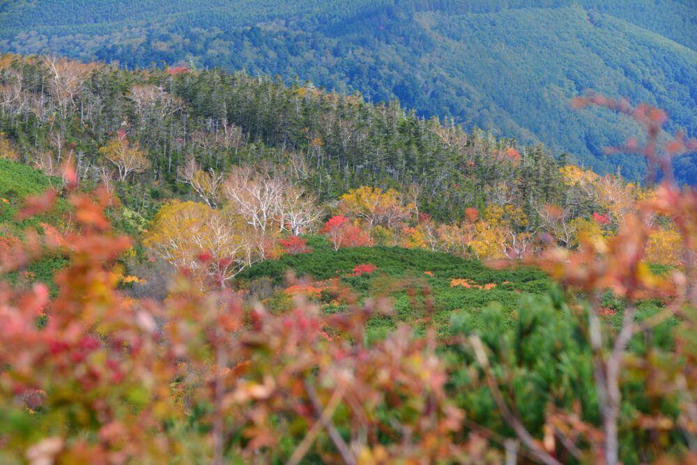 御嶽山の紅葉