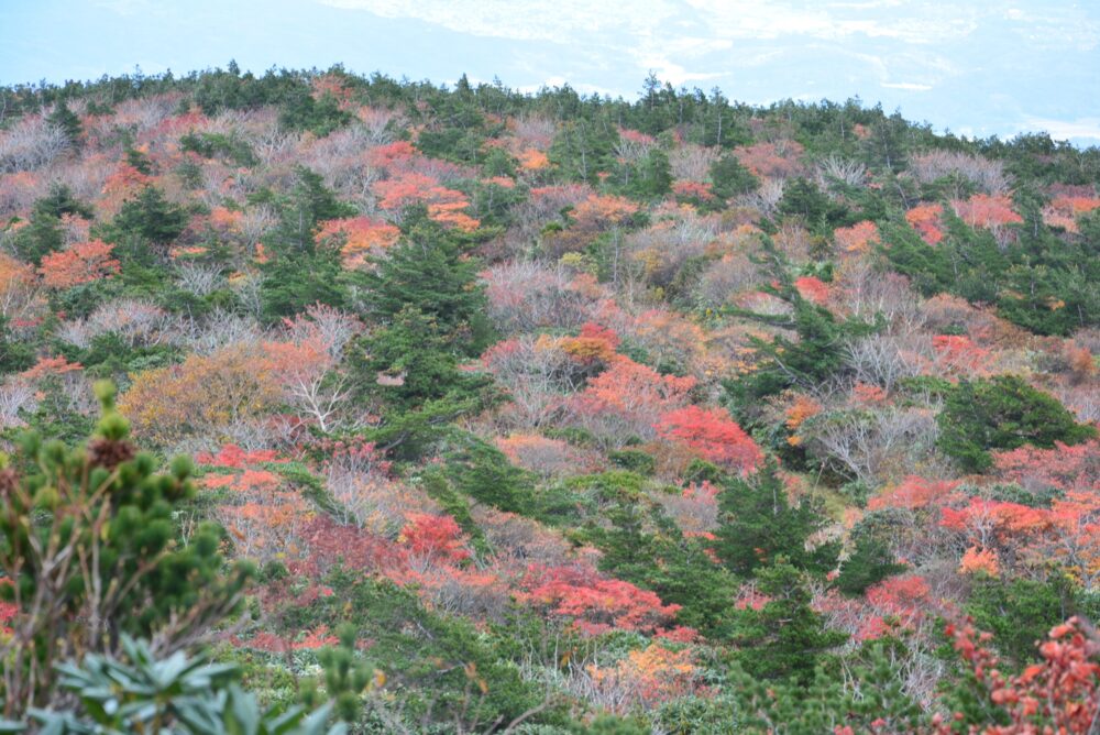 安達太良山の紅葉