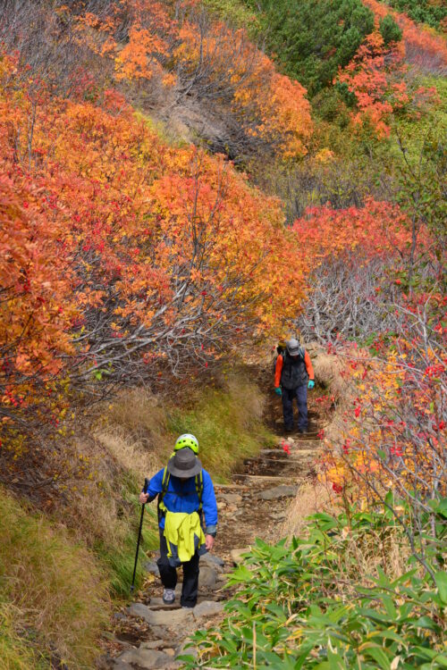 御嶽山の紅葉