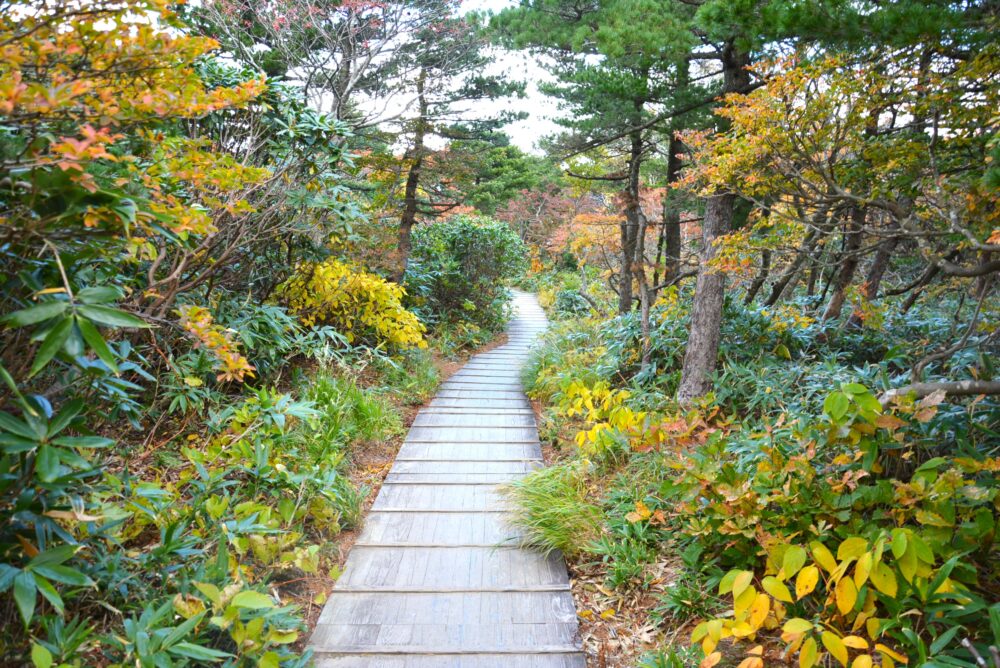 安達太良山の登山道