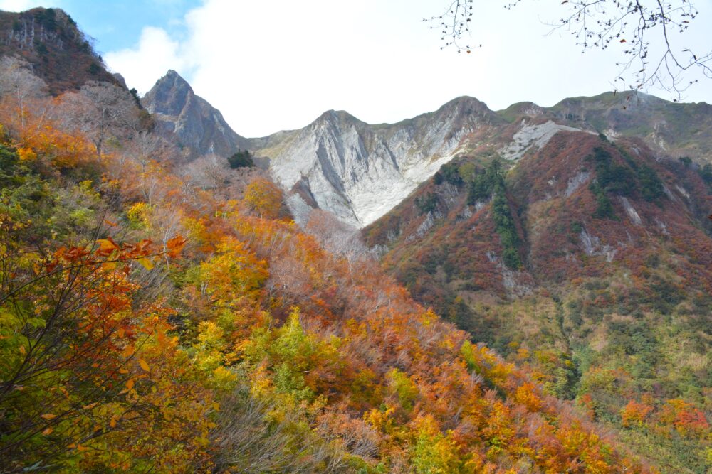 雨飾山の紅葉