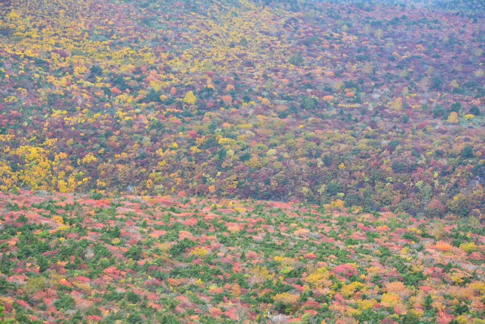 安達太良山の紅葉