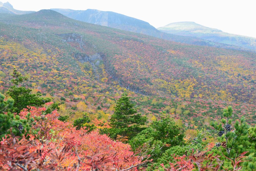 安達太良山の紅葉