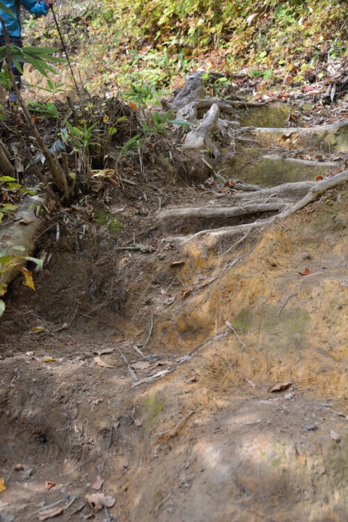 雨飾山の滑りやすい登山道