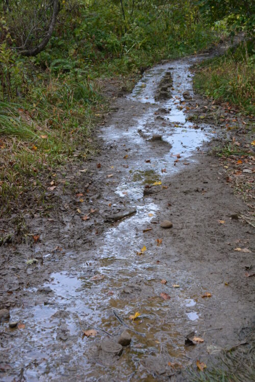 雨飾山のぬかるんだ登山道