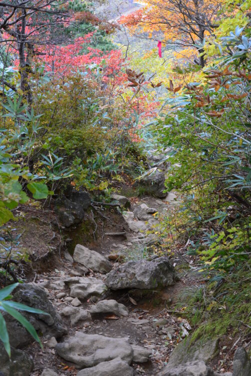 安達太良山の登山道