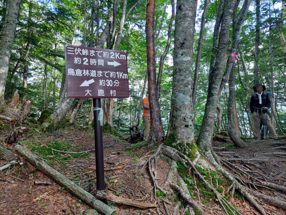 塩見岳登山道のコル