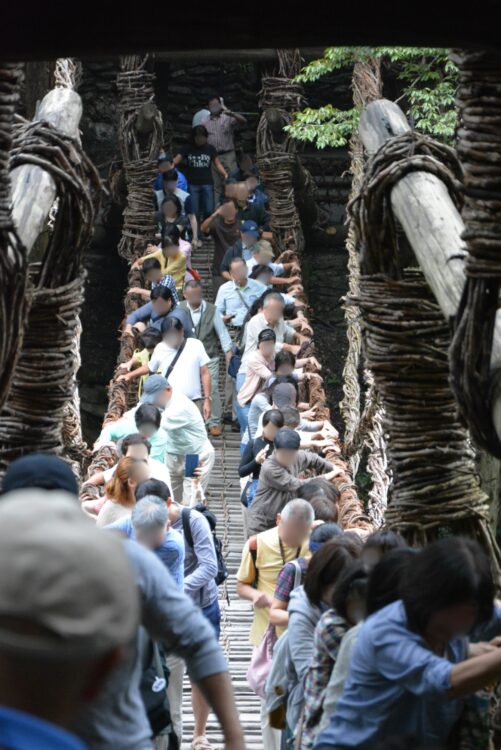 大混雑の祖谷のかずら橋