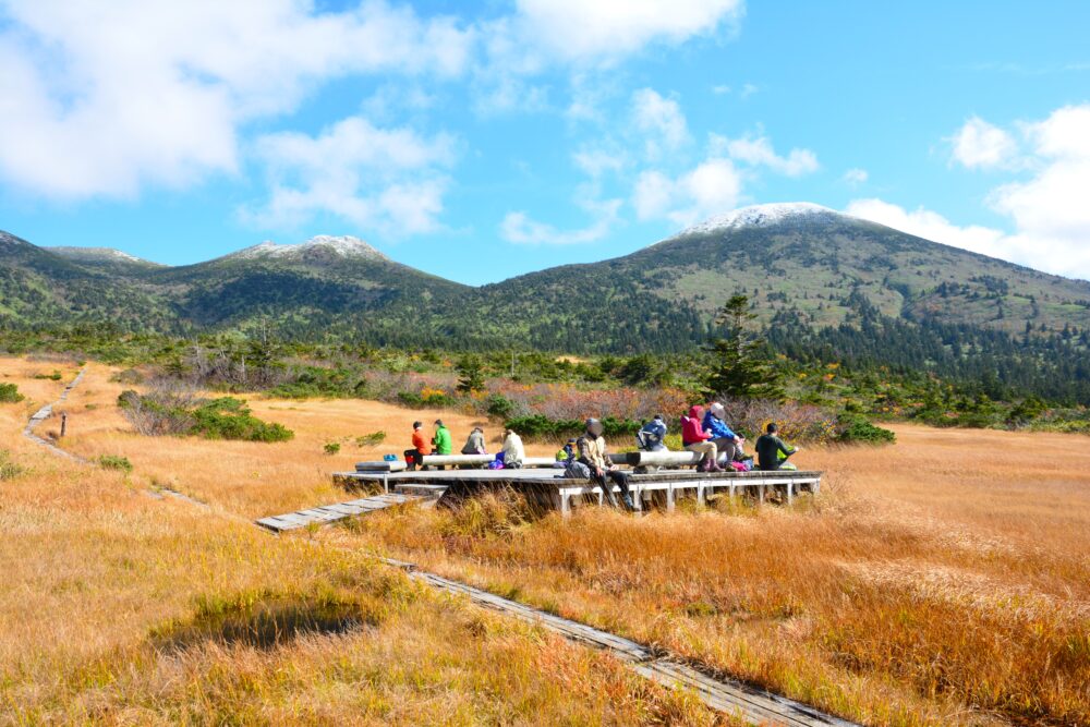 紅葉の八甲田山・上毛無岱の休憩ポイントと大岳