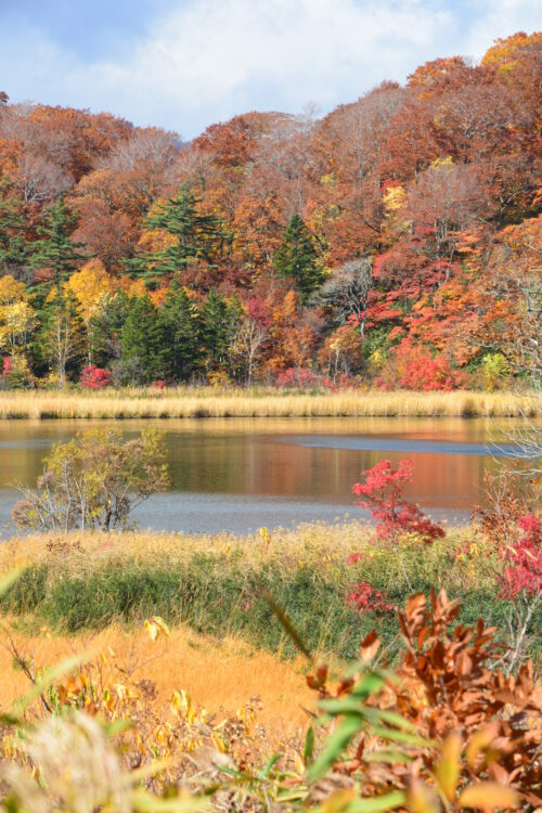 八幡平・大沼の紅葉