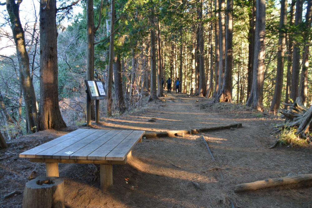 塔ノ岳の登山道