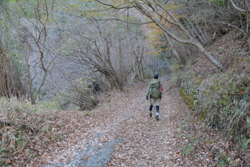 鍋割山の登山道を歩く登山者