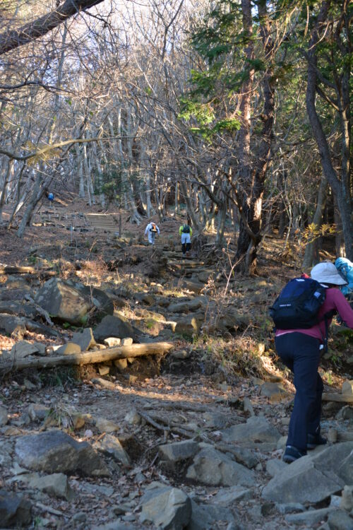 塔ノ岳の登山道