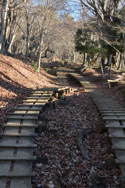 塔ノ岳の登山道