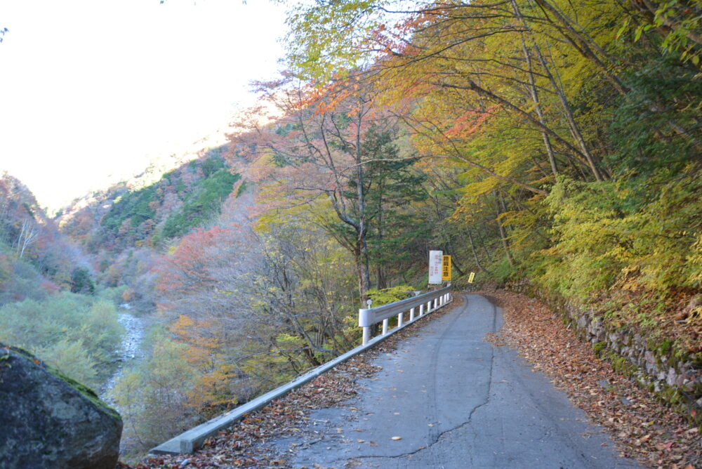 恵那山の広河原登山口へ向かう林道