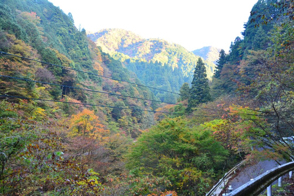 丹沢山の塩水橋付近の紅葉