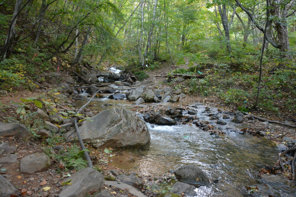 四阿山の登山道にある沢