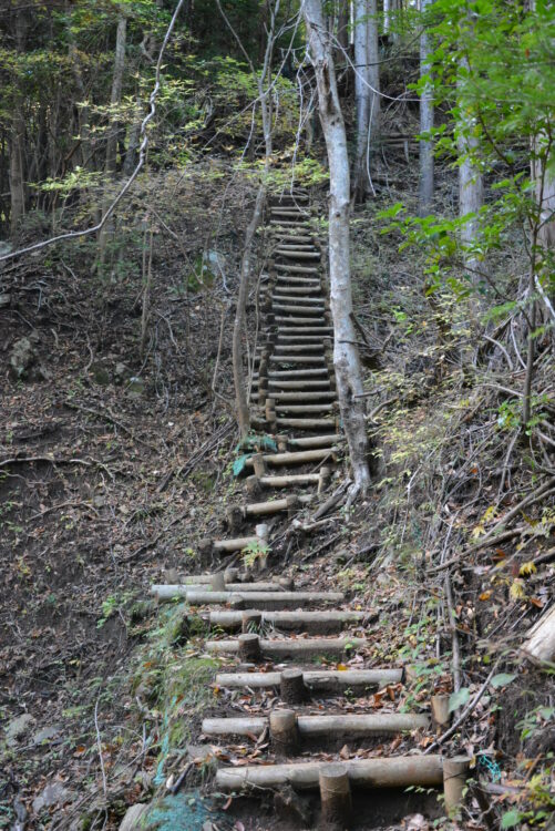 丹沢山・天王寺尾根ルートの階段