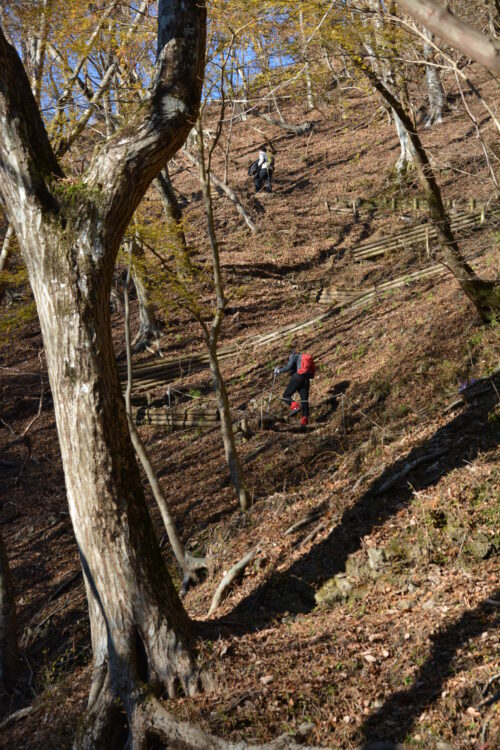 鍋割山の登山道