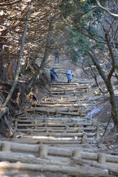 塔ノ岳の山登山道（バカ尾根）