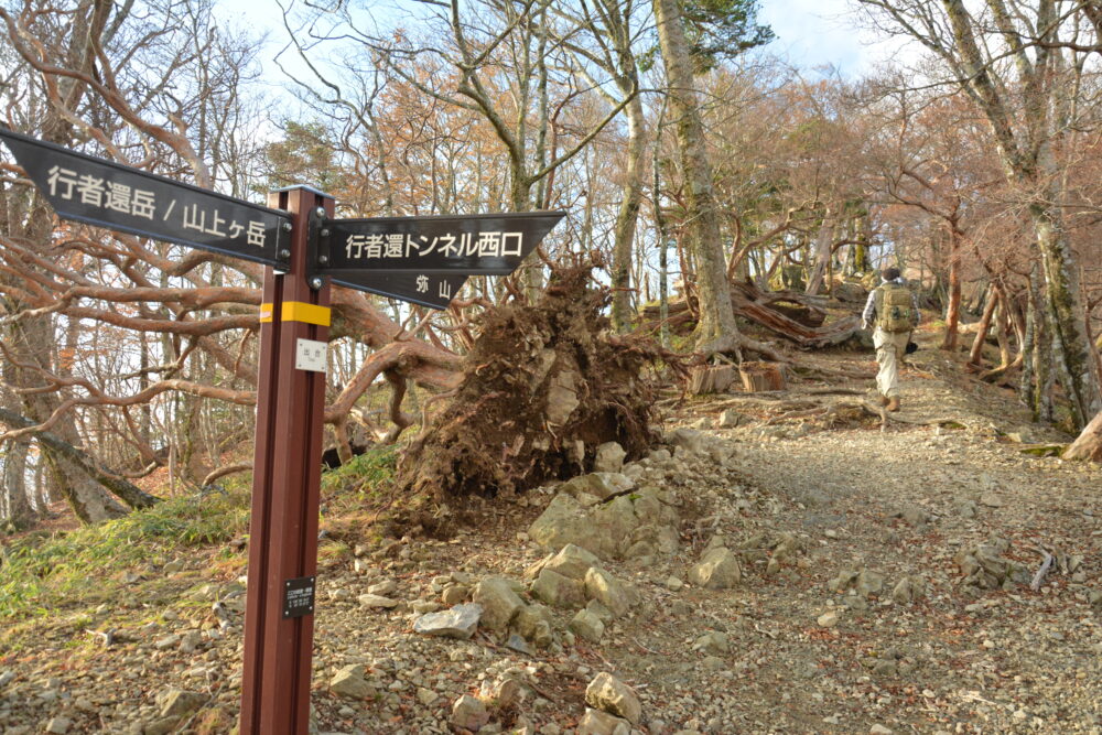 大峰山（弥山・八経ヶ岳）登山道の奥駈道出合