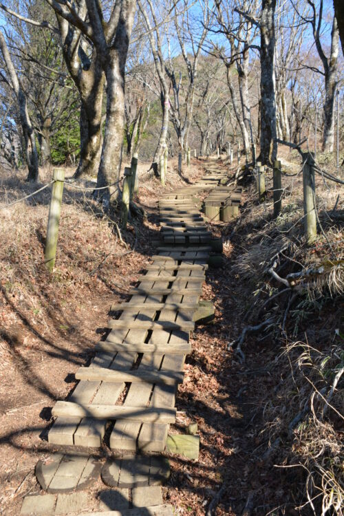 鍋割山の登山道