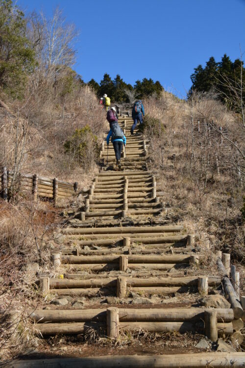 塔ノ岳の山登山道（バカ尾根）