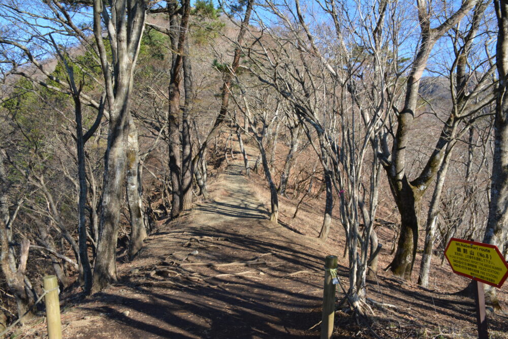 鍋割山の登山道