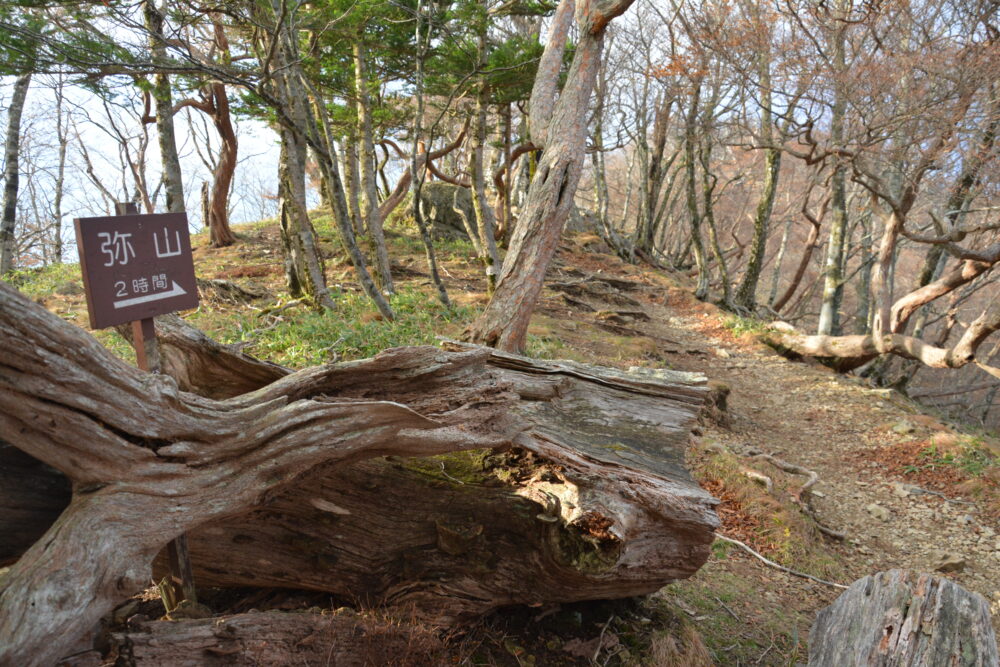 大峰山（弥山・八経ヶ岳）の登山道