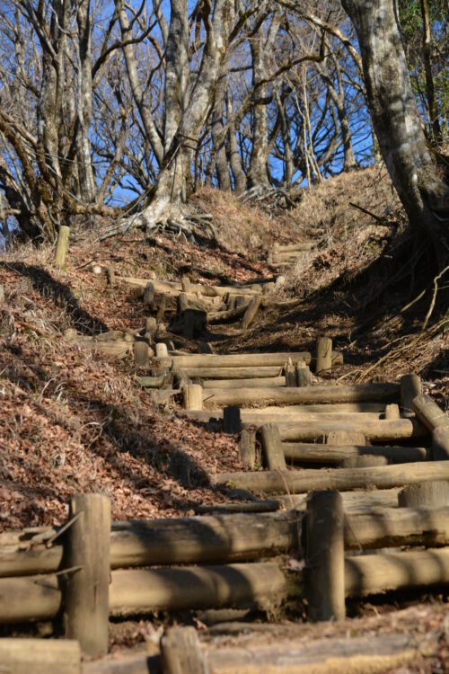 鍋割山の登山道