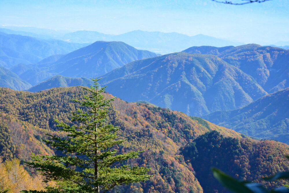 恵那山から眺める山々と紅葉