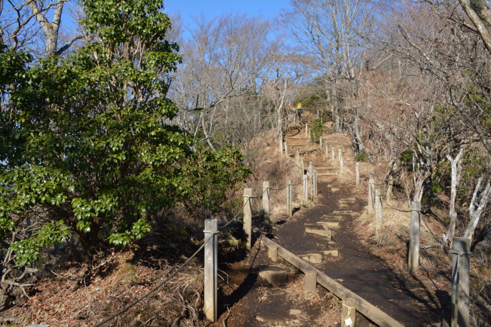 鍋割山の登山道