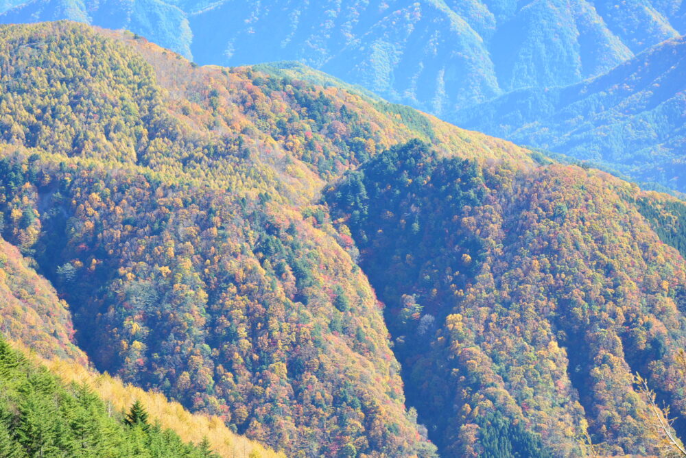 恵那山から眺める山麓の紅葉