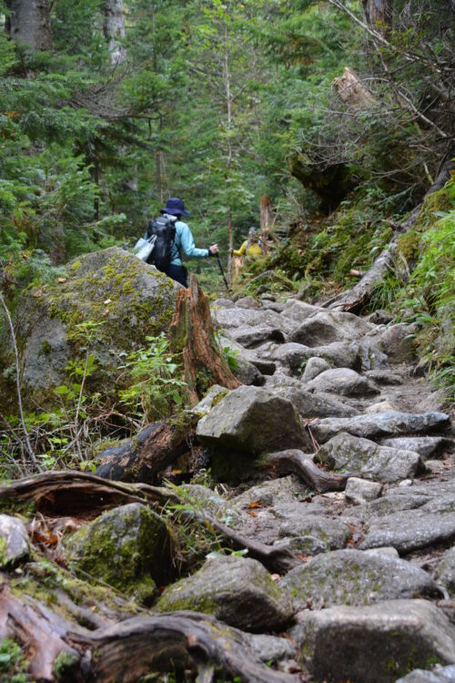 涸沢への登山道