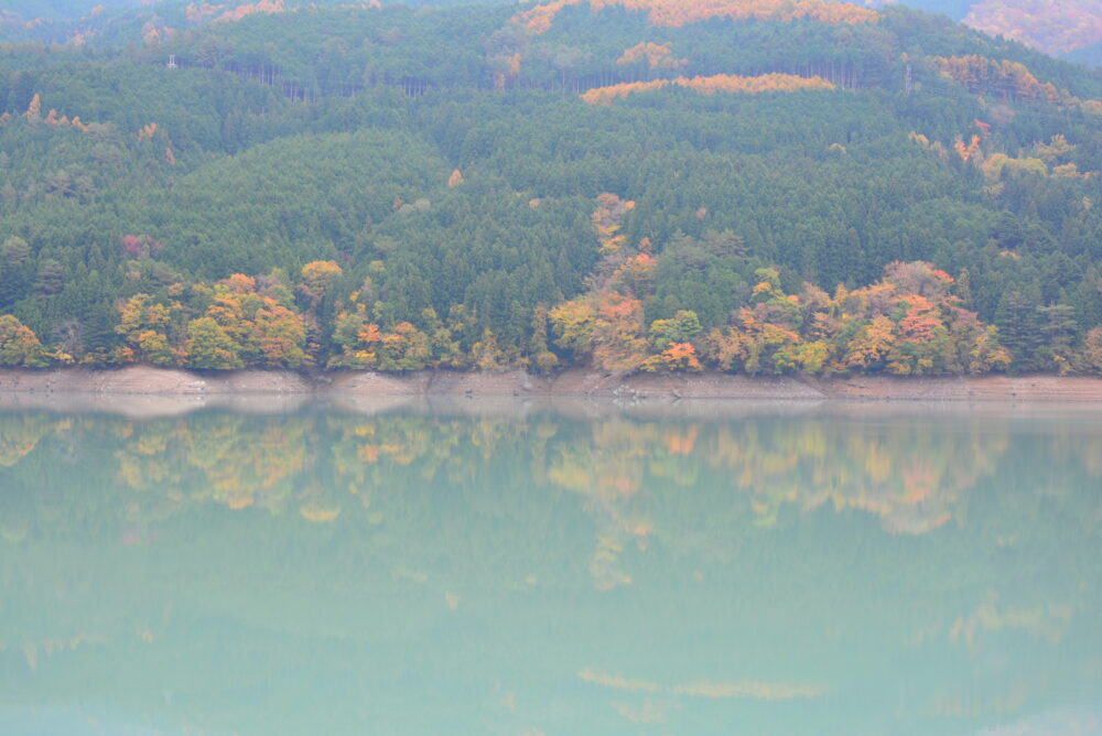 朝の井川湖