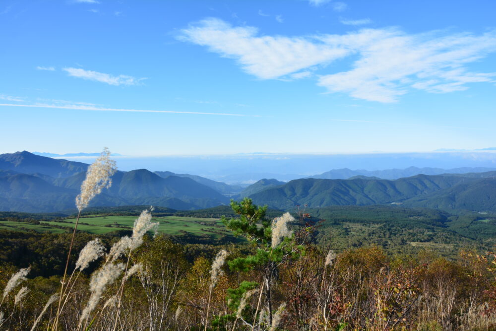 四阿山から眺めた菅平牧場と青空とススキ