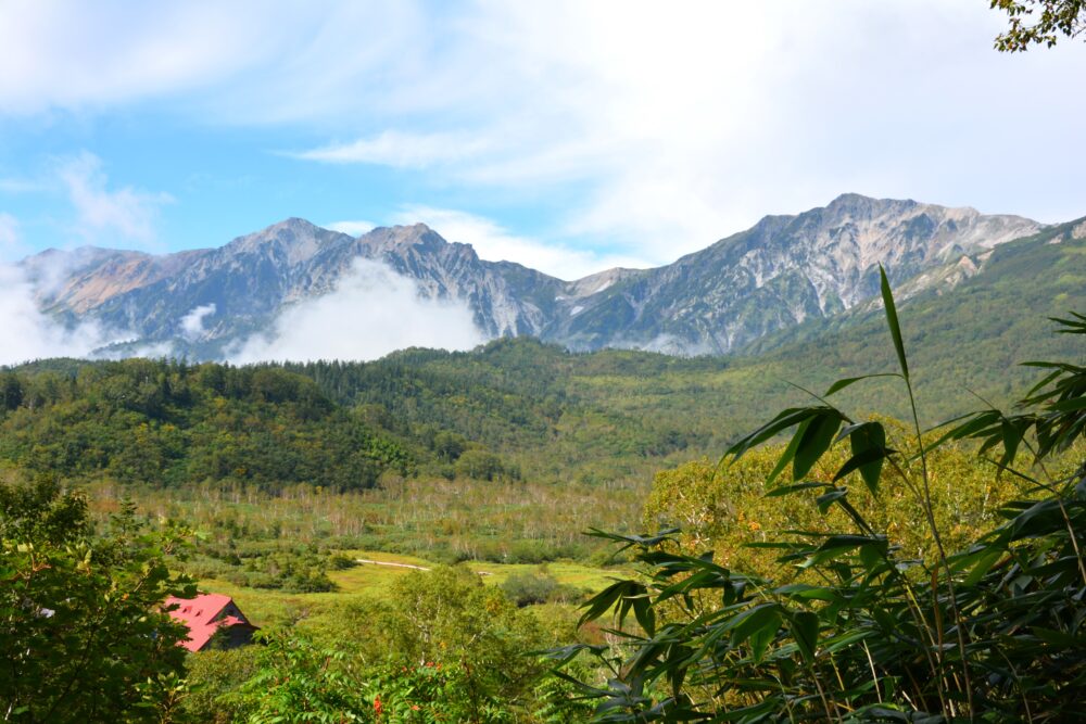 栂池自然園と白馬三山